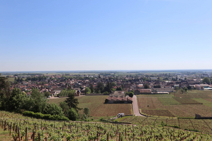 paysage-nuits-saint-georges