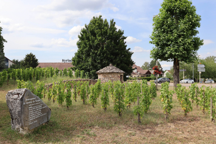 Centre ville Nuits Saint Georges