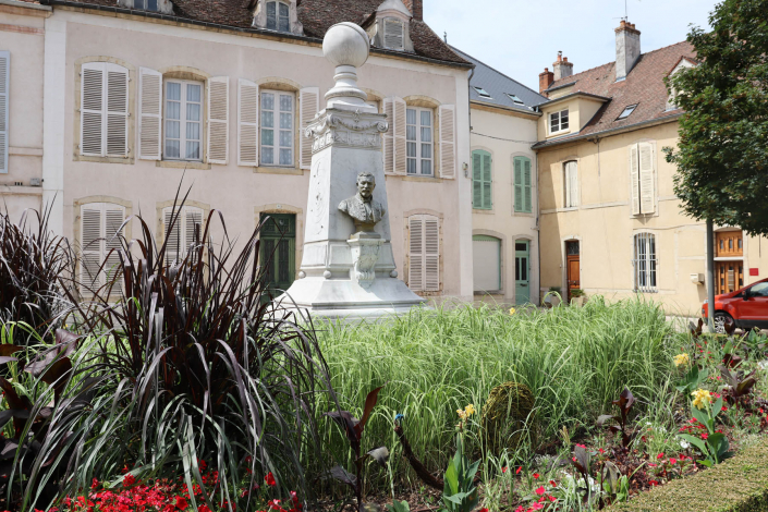 Centre ville Nuits Saint Georges